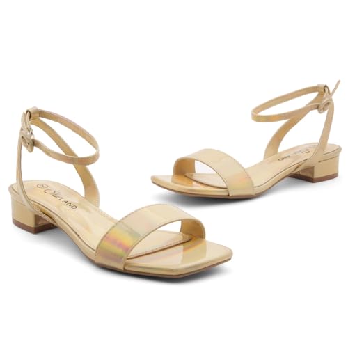 Image of Shoe Land Low Heels for Women 1 Inch Chunky Block Heeled Sandals Square Open Toe Strappy Ankle Strap Dressy Sandals for Wedding Prom Party Office