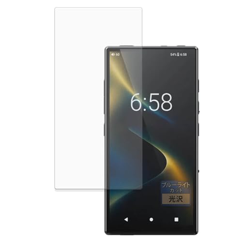 FILMEXT �t�B���� FiiO M33 R2R �p �ی�t�B���� �u���[���C�g�J�b�g �t�B���� ������