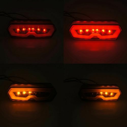 CHICHIYANG 12 V ABS Motocicleta LED Integrado Luz Freio/Corrida/Luz de Direção Peças sobressalentes