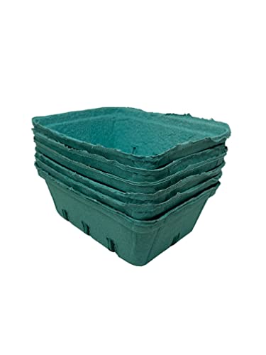 Green Fiber Fruit Berry Pulp Basket Container for Blueberries Strawberry Tomatoes and Produce (6, 1.5 quart)