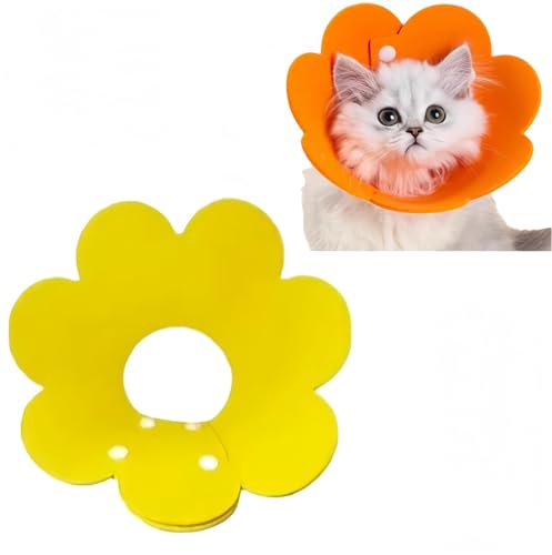 L  GUxXJ[ {^ 񕜎 y p ی  D pEFA rߖh~ 畆a 킢 ߉\ _炩 qL ^ ^ PA (L,F 2)