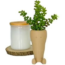 Carrot-Shaped Planter Pot Compatible with Succulents and Cactus Plants Purple