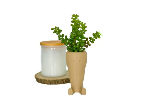 A 3D-printed carrot-shaped planter that turns a succulent into a vegetable garden pun — surprisingly charming on a desk.