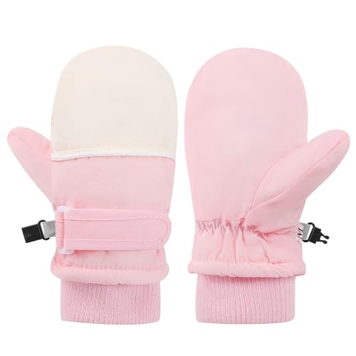 [`w] XL[O[u LbY, h, Rbgf, 25×18×1mm (sN, Si6`2΁j)