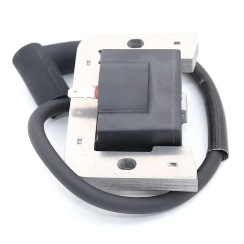 Bobine d'allumage L48 L54 L60 résolvant les problèmes de démarrage