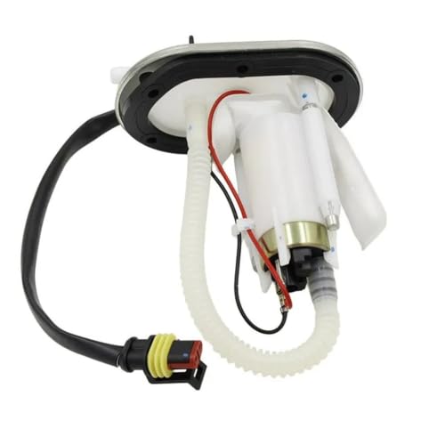 Disfruta tus rutas en ATV y moto P200efi con la bomba de aceite 28124916 CG de 17 litros