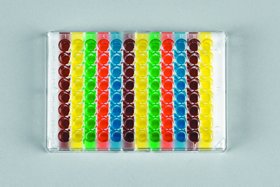 EMS 70490-16 Multi-Colored 384 Well Orienter (Pack of 2)