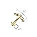 Amelia Fashion Implant Grade Titanium Internally Threaded Labret With Curved 5 Beaded Ball Top (18GA - Gold)