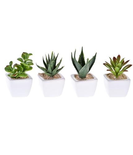 Kit 3 Suculentas Artificiais Decorativas Sortidas Decoração