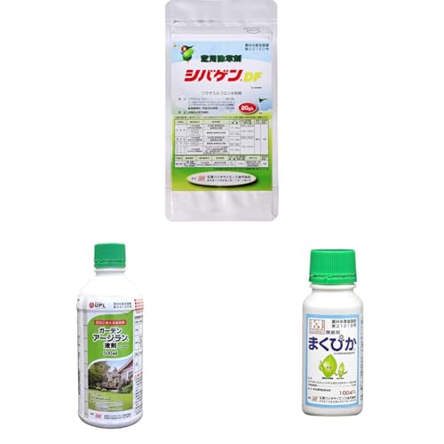 yZbgzΌoCITCGX  VoQDFa20g + Őp K[fA[Wt500ml + _(W) ܂҂ 100ml ޗp