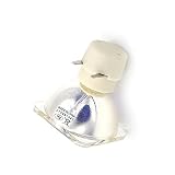 Lampe de projecteur de remplacement Lampe de projecteur compatible Ampoule SP.8EH01GC01 / BL FU185A FIT POUR OPTOMA ES526 EX526 EX531 EX536 ET766XE HD66 HD67 HD600X Ampoule de lampe de projecteur