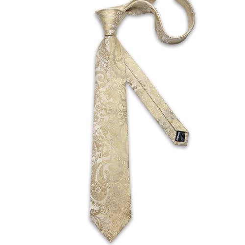 Image of DiBanGu Paisley Ties for Men Silk Necktie and Pocket Square Cufflinks Tie Clip Set Woven Classic Mens Tie for Wedding Party