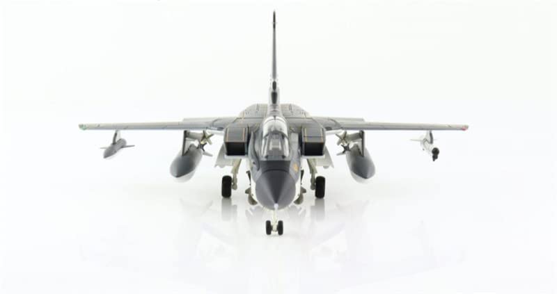 Amazon | ホビーマスター トルネード IDS 43+44 MFG1 ドイツ海軍 1980