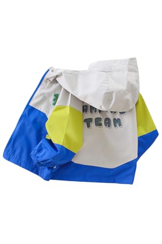 [EnDast] u[ 100p |Cg {[CY LbYt[ht Wp[ WPbg h AE^[ ؍q ۉ tH~