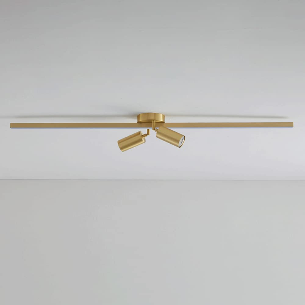 Faretti da soffitto Regolabili, Kit di Illuminazione a Binario Fisso a LED, faretti da soffitto a 2 Vie, faretti direzionali per Cucina, Galleria, corridoio, da