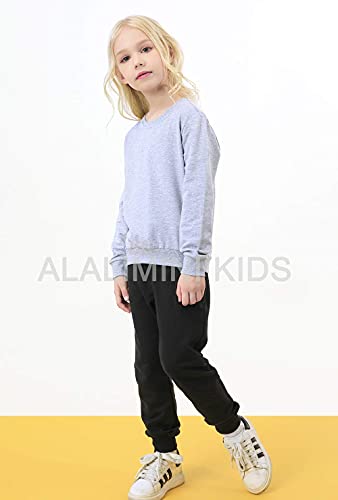 Alalimini Boys&Girls Crewneck Sweatshirts Toddler Kids Solid Cotton Long Sleeve Pullover Tshirts (Gray, 3T) #TOP3