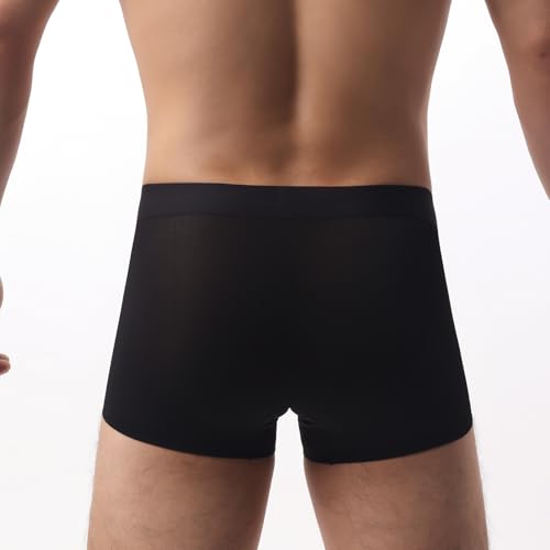 Evankin Mens Mesh Ice Silk Boxer Brief Breathable Cool Underwear Sexy Lace See Through Underpants4