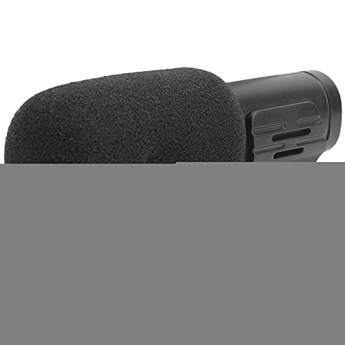 Programa Para Hablar Con Microfono