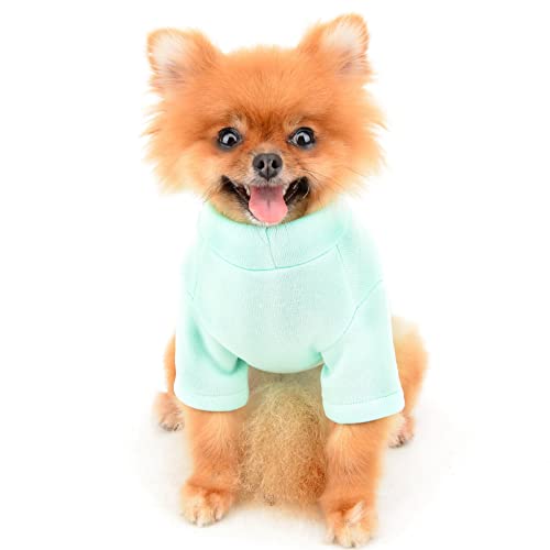 SMALLLEE_LUCKY_STORE Niedlicher Cartoon-Welpen-Fleece-Sweatshirt, Pullover für kleine, mittelgroße Hunde, Katzen, Jungen, Mädchen, Yorkie, Chihuahua, Kätzchen, warm, Herbst, Winterkleidung, Grün, S