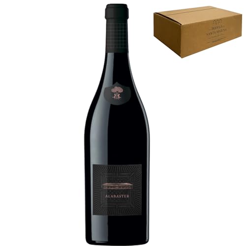 Teso la Monja – Alabaster Toro 2020 | 100 % Tinta de Toro | Crianza 18 meses roble francés | 14,5 % vol. | Elegante, estructurado, persistente - 1 Botella 75cl