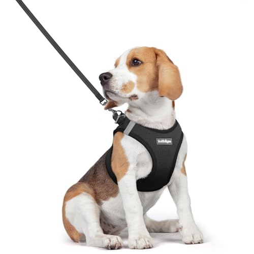 Image of rabbitgoo Dog Harness Medium Sized and Leash Set, Step-in Puppy Pet Vest