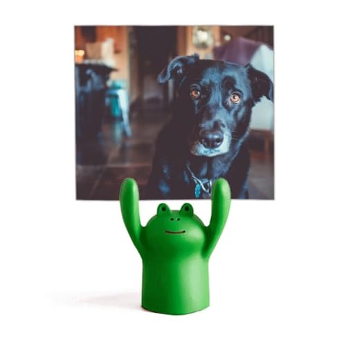 Support pour photo de chien noir avec grenouille, idée cadeau originale