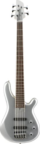 Fernandes Gravity 5X 5 String Electric Bass - Pewter