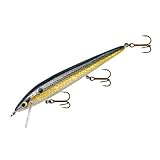 Smithwick Suspending Rattlin' Rogue - Foxy Shad - 4 1/2 in
