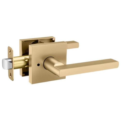Goldenwarm Champagne Bronze Door Handle Interior Privacy, Vintage 1 Pack