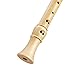 Eastar ERS-31GM Recorder Instrument for Kids Adults Beginners Soprano Recorder German Style Maple Wood C Key 3 Piece Recorder With Hard Case, Joint Grease,Fingering Chart And Cleaning Kit