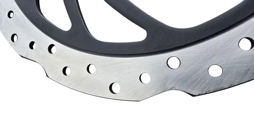 Image of BS6 300mm Front Brake Disc (With ABS) compatible with Bajaj Pulsar NS200 |RS200 (2021-2025)