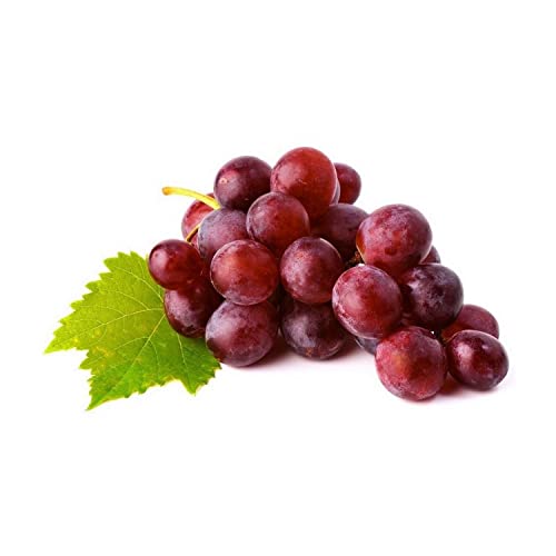 Grapes Red Globe South Africa 500 g Approx.