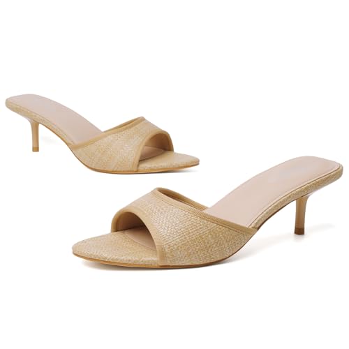 Image of Mostrin Kitten Heels for Women Pointed Toe Vintage Mules Heels Sexy Slip on Stiletto Backless Sandals for Party Wedding Daily