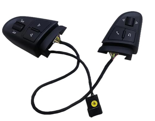 Bouton poussoir volant multifonction pour optimiser vos trajets en Octavia