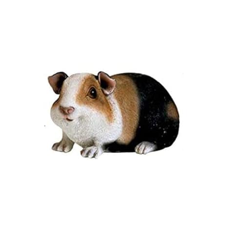 fXNgbv̒u - uz[fR[VK[fX^`[Az[K[ffR[Vʔ킢bgX^`[(1pcs)