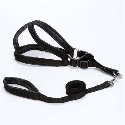 RvPaws Pet Nylon Soft Padded Body Padded Adjustable Breathable Long Set-Leash & Harness for Puppy and Medium Dogs Outdoor Training and Running Set Black Color 3/4 Inch (B09Q8WTW5Y) Amazon Price History, Amazon Price Tracker