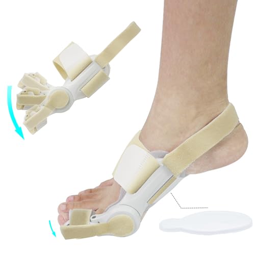 wT|[^[ w L O T|[^[ px\ wpbh T|[^[ ƌŒxgt ewȂ p j Ep (J[LF)