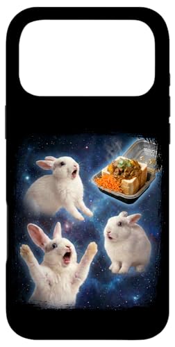 �o�j�[ �`���E �X�y�[�X ������ ��A�t���J �H�ו� �J���[ �~�[�� �ʔ��� �X�}�z�P�[�X iPhone 17 Pro Max �p