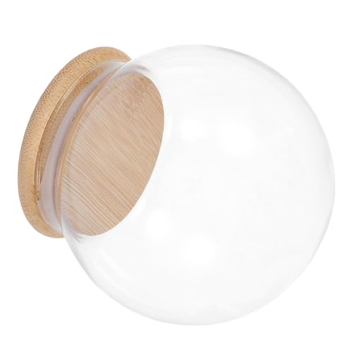 Cúpula de vidrio transparente con base de madera IMIKEYA para plantas 2