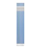 Cawila Equipment - Trainingszubehör PRO Slalomstange (33mmx180cm) blau One Size