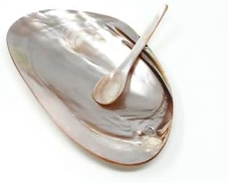Handmade Pink Mother of Pearl Shell Dish with Silver-Plated Feet & Matching Caviar Spoon – Oval Serving Bowl for Caviar, Salt, Jewelry & Small Delicacies – Includes 1 Shell Plate & 1 Spoon