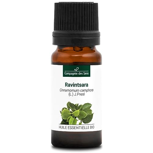 ALCANFOR - 10 mL - Aceite Esencial Orgánico de Calidad Superior - 100% Puro, Natural, Quimiotipado y Certificado AB