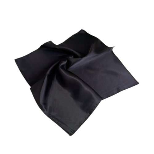 TrendsBlue Elegant Small Silk Feel Solid Color Satin Square Scarf 19.5"2