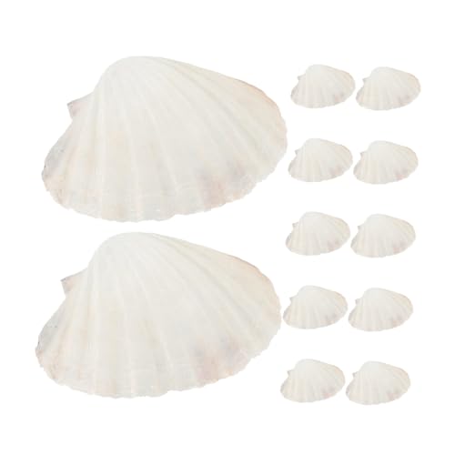 iplusmile 20 VRz^eLk HiΉRLk Ăp v[gƂĊCNt r[`sNjbNɂȌgїpe[uE