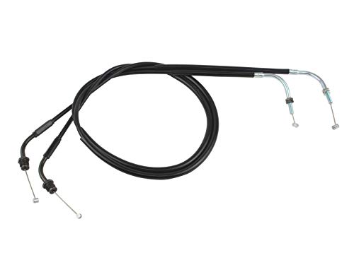 |bVtFCX(POSH FAITH) oCNpi OANZP[u(10pO) SR400/SR500(1988~2000N) CVLu 010111-A1