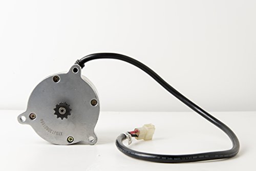 Alfa Wheels Electric Scooter Motor Currie Technologies 24 Volt 500 Watt Dc For 500 Series Schwinn & Izip Reversible With 11 Tooth Sprocket #25 Chain Model Numbers Xyd-6B Sd-156 Xydj130601664 #TOP5