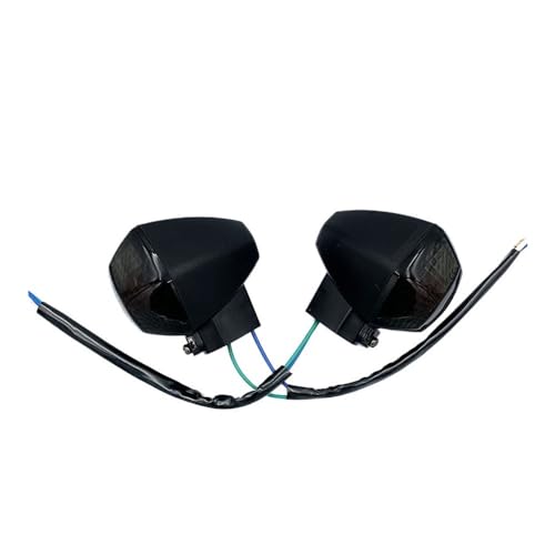 oCN̕w tg^[VOiCgCWP[^[v DL 1000 /650p V-Xg[ DL650 DL1000p VXg[ 2004-2012 2010 2011 ECg(Front Smoke Bulb 2)