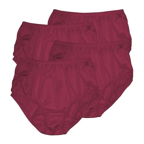 Image of Teri Women's 331 Plain Jane Classic Nylon Silky-Smooth Lightweight Breathable Full Coverage Brief Panty - 4 Pack
