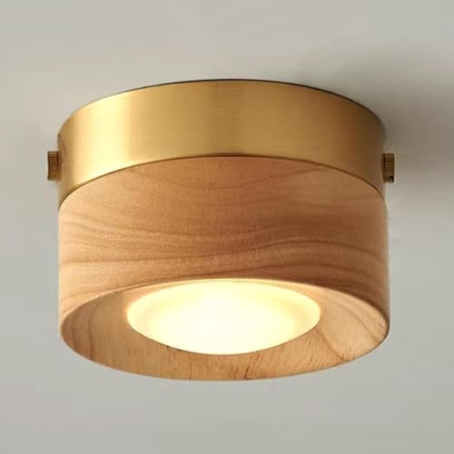 Spot de plafond 5W en laiton et acrylique, plafonnier LED cylindre moderne encastré