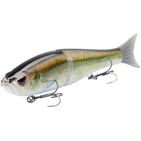 Bassdash SwimShad Glide Bait for Fishing Cover